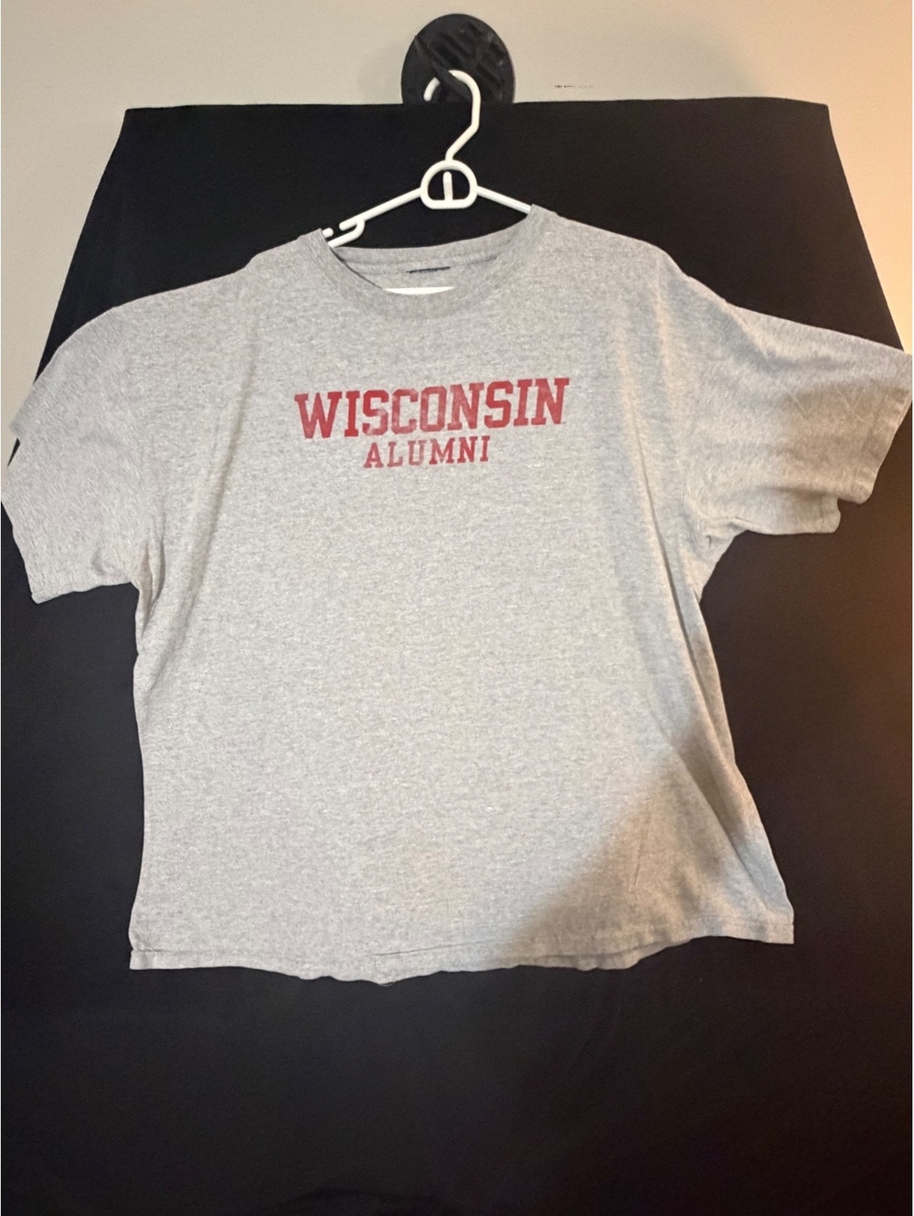 Wisconsin Alumni Gray T-Shirt